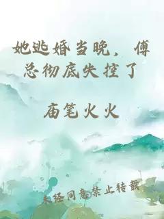 她逃婚当晚，傅总彻底失控了