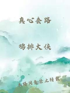 真心套路